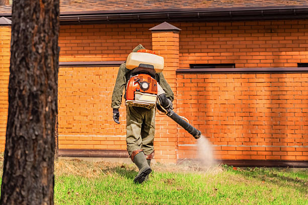 Trusted Emergency Pest Control service in Town 'n' Country, FL - Nex Pest Control